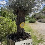 De Razes Touffailles