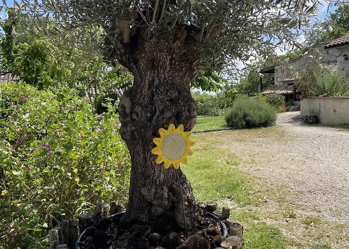 De Razes Touffailles